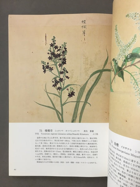 花木真寫 : 植物画の至宝　画：近衛豫楽院　監修・執筆：源豊宗, 北村四郎　解説：今橋理子