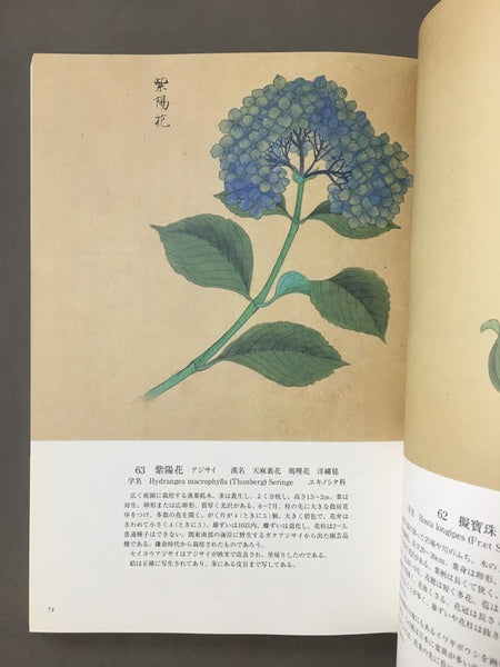 花木真寫 : 植物画の至宝　画：近衛豫楽院　監修・執筆：源豊宗, 北村四郎　解説：今橋理子