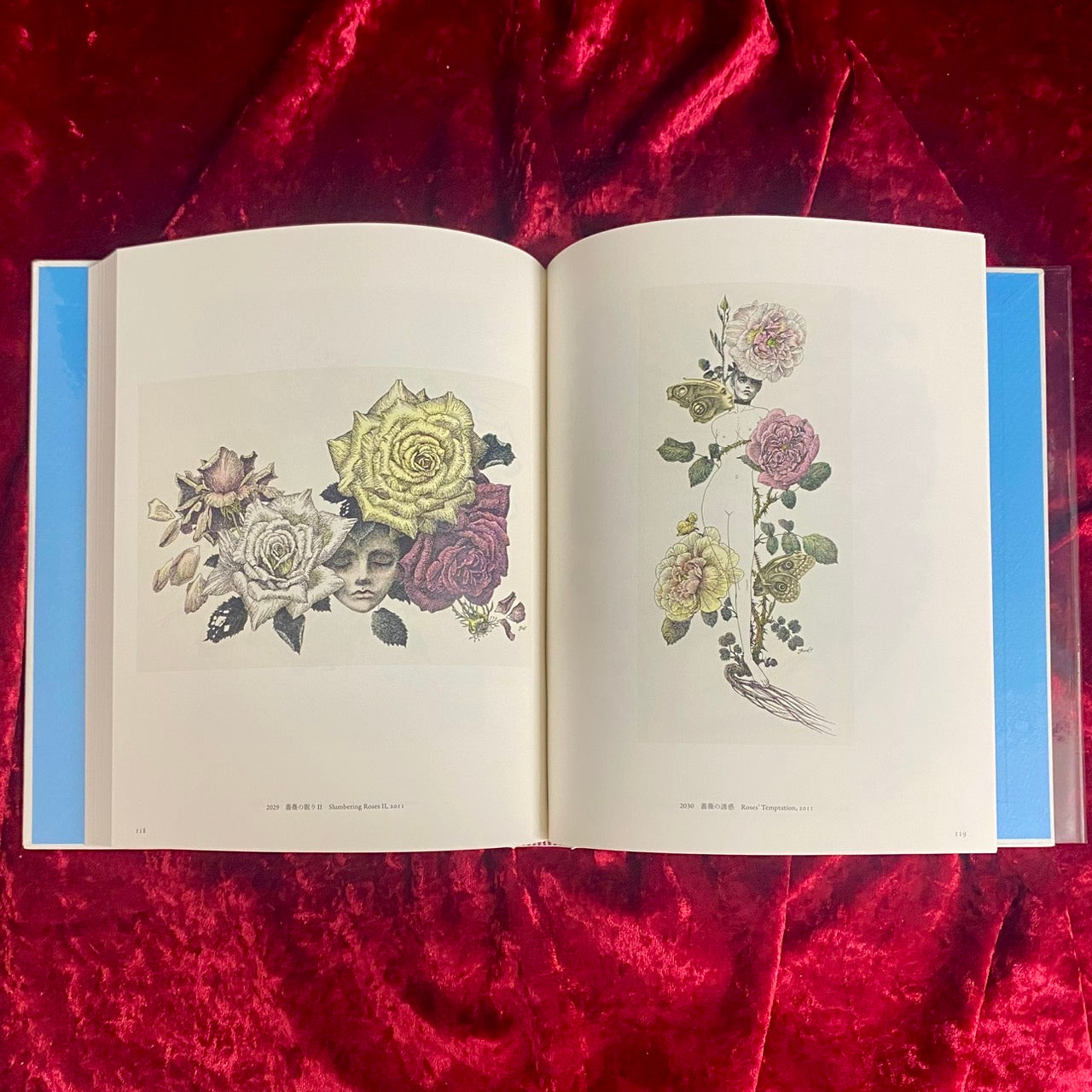 ペルセポネー 回帰する植物の時間 林由紀子作品集 1997-2019 – 古書ドリス