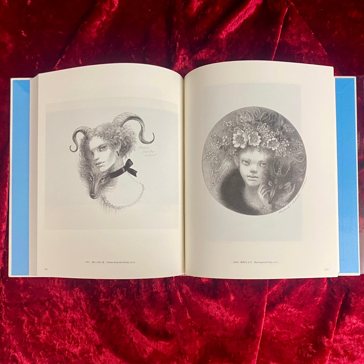 ペルセポネー 回帰する植物の時間 林由紀子作品集　1997-2019