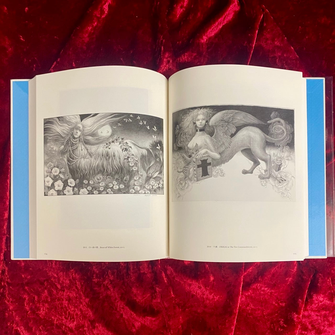 ペルセポネー 回帰する植物の時間 林由紀子作品集 1997-2019 – 古書ドリス