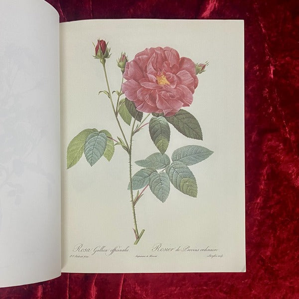 Les Merveilleuses Roses　バラ図譜　著：ピエール= ジョゼフ･ルドゥーテ　洋書