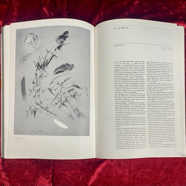 André Masson　アンドレ・マッソン　画集　洋書