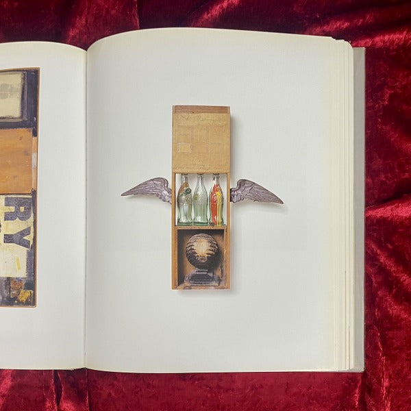 robert Rauschenberg combines　洋書