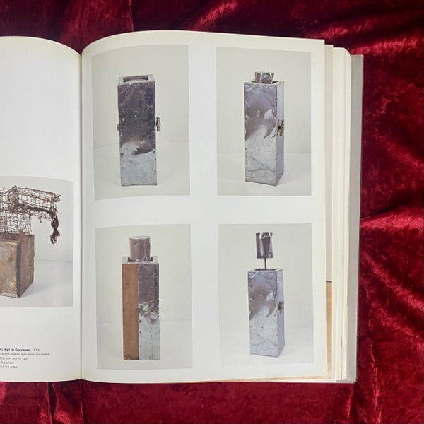 robert Rauschenberg combines　洋書