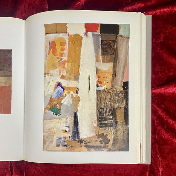 robert Rauschenberg combines　洋書
