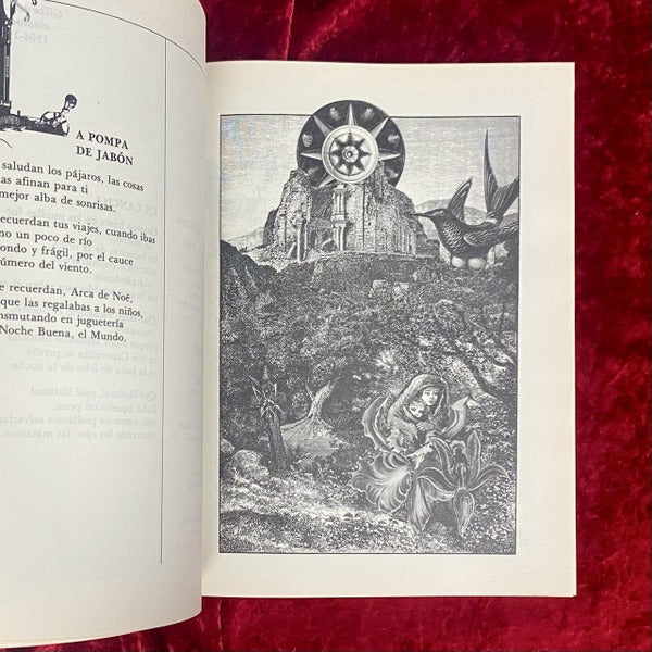 LA LUCIÉRNAGA　子供のための現代メキシコ詩集　洋書