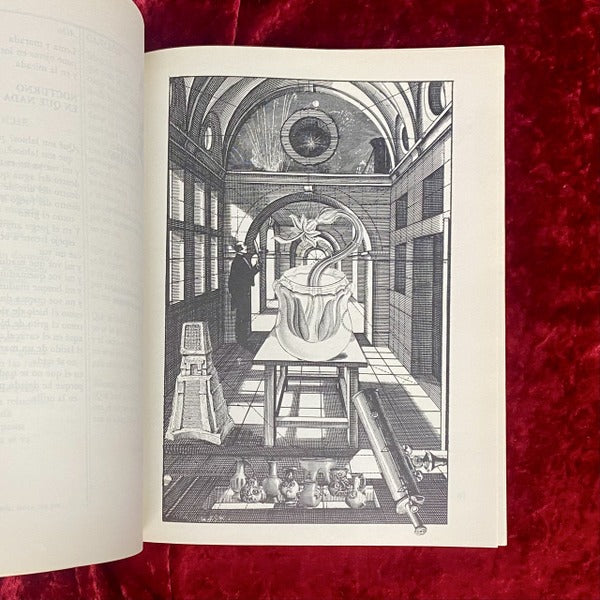 LA LUCIÉRNAGA　子供のための現代メキシコ詩集　洋書