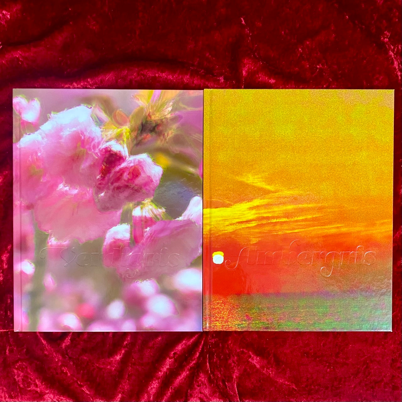 VERDIGRIS / AMBERGRIS 　洋書