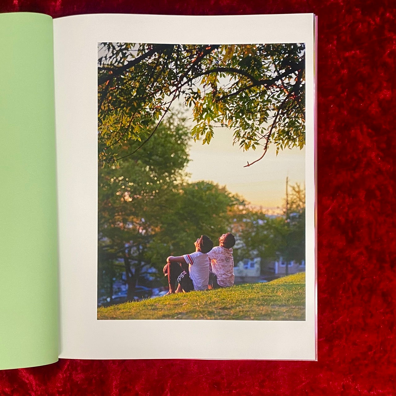 VERDIGRIS / AMBERGRIS 　洋書