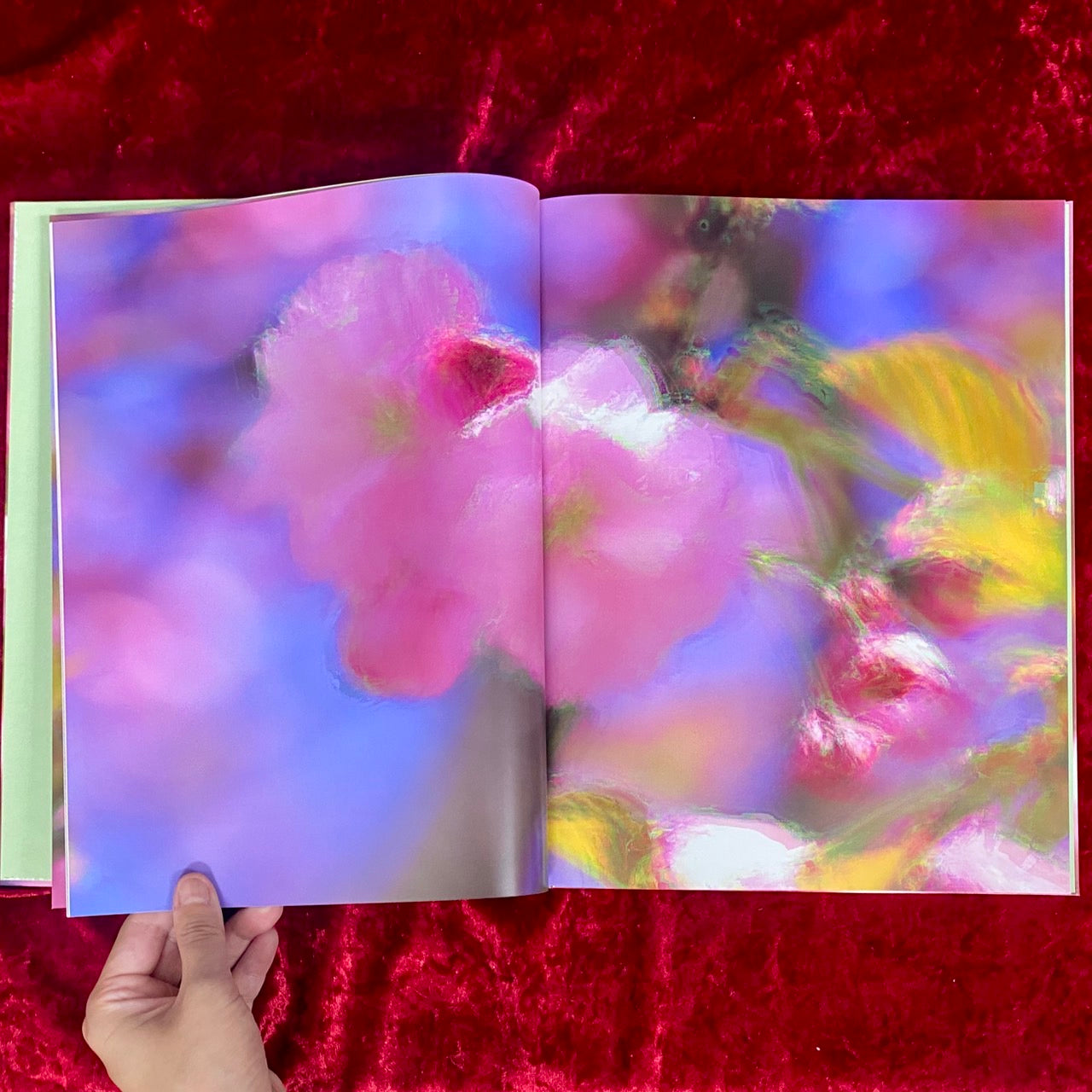 VERDIGRIS / AMBERGRIS 　洋書