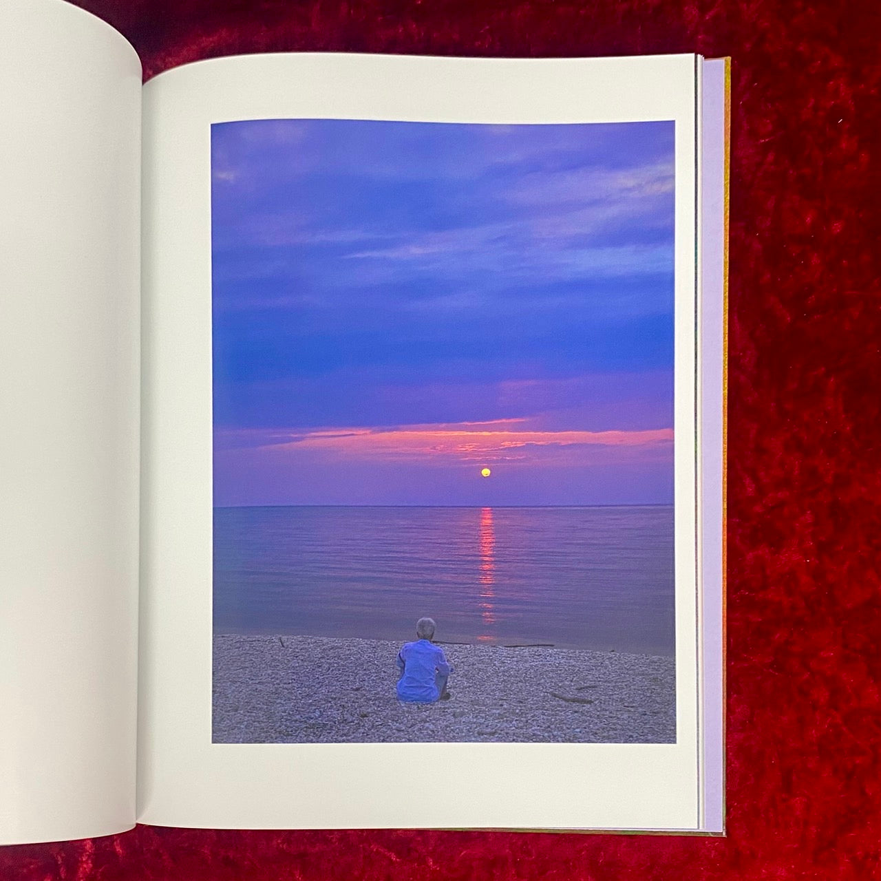 VERDIGRIS / AMBERGRIS 　洋書