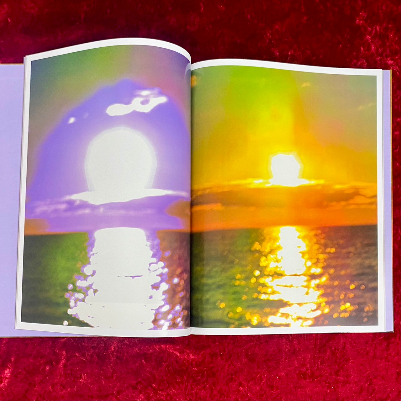 VERDIGRIS / AMBERGRIS 　洋書