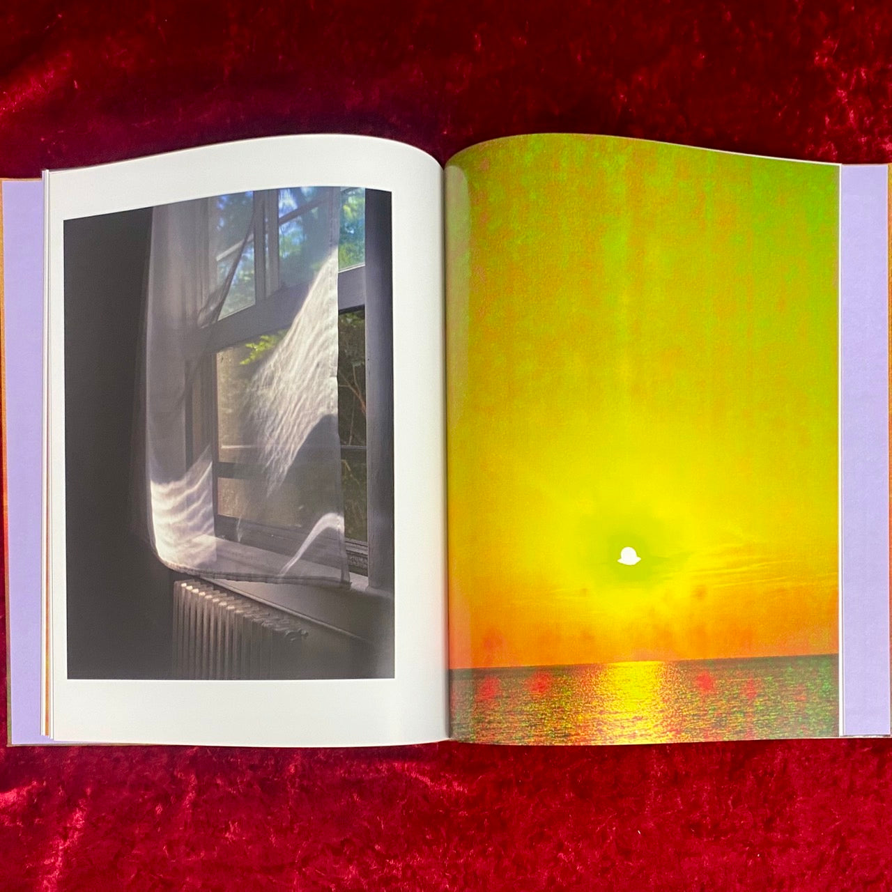 VERDIGRIS / AMBERGRIS 　洋書