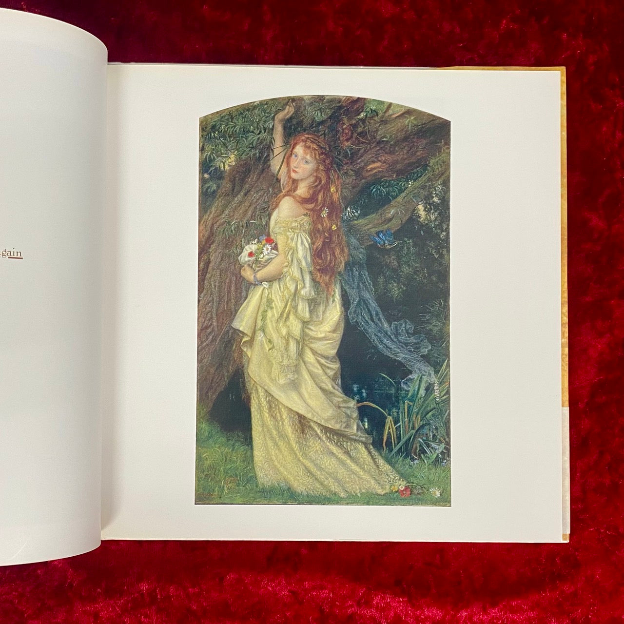 水の女 : 溟き水より　From the Deep Waters