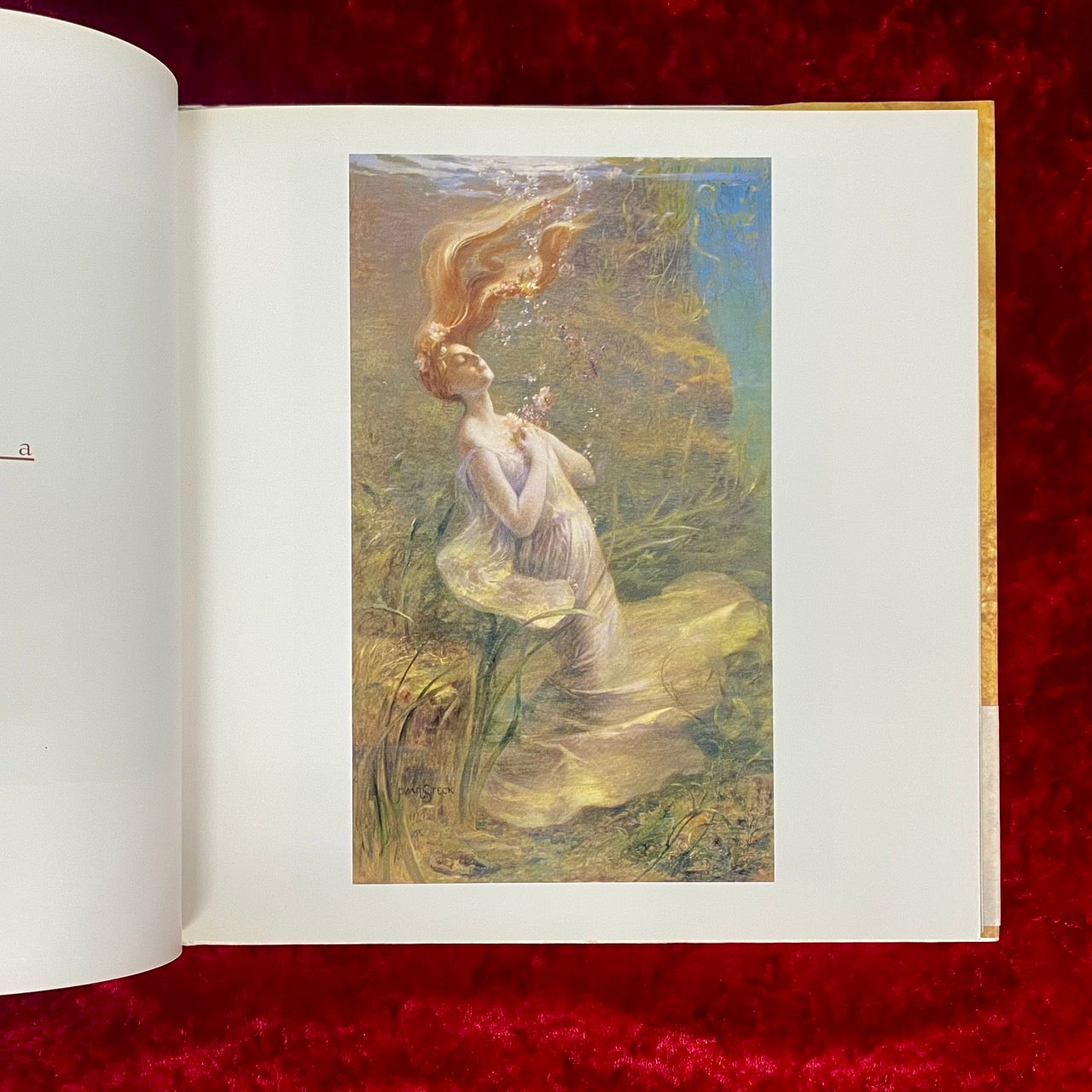 水の女 : 溟き水より　From the Deep Waters