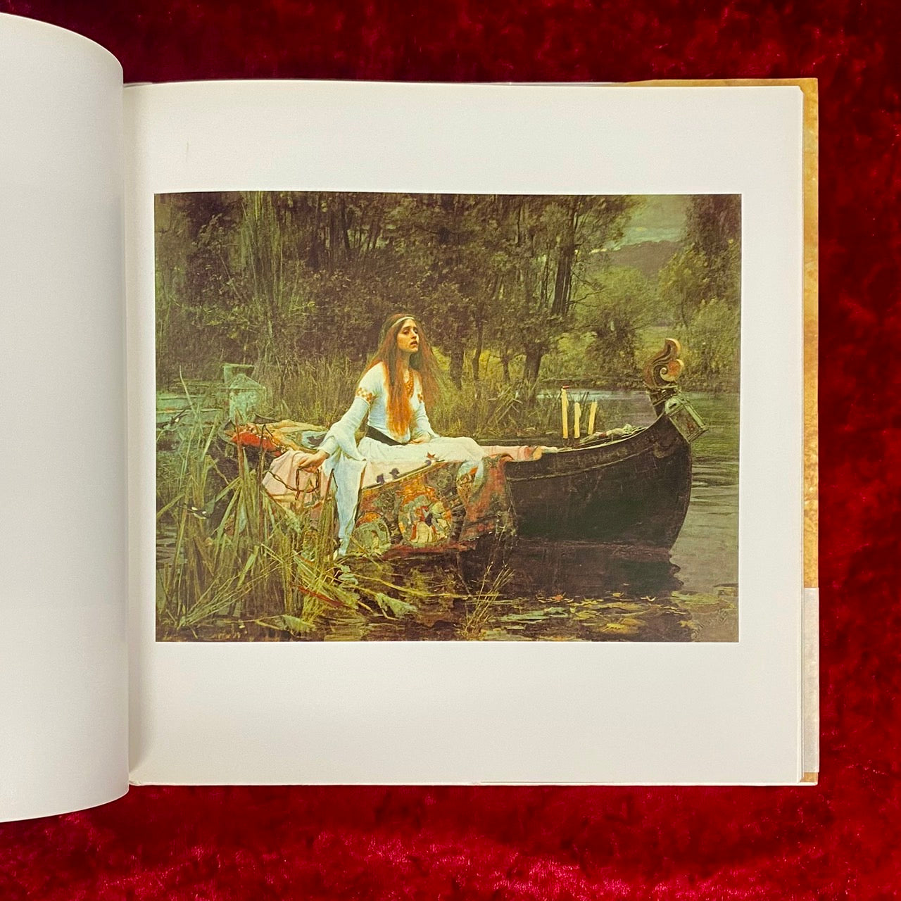 水の女 : 溟き水より　From the Deep Waters