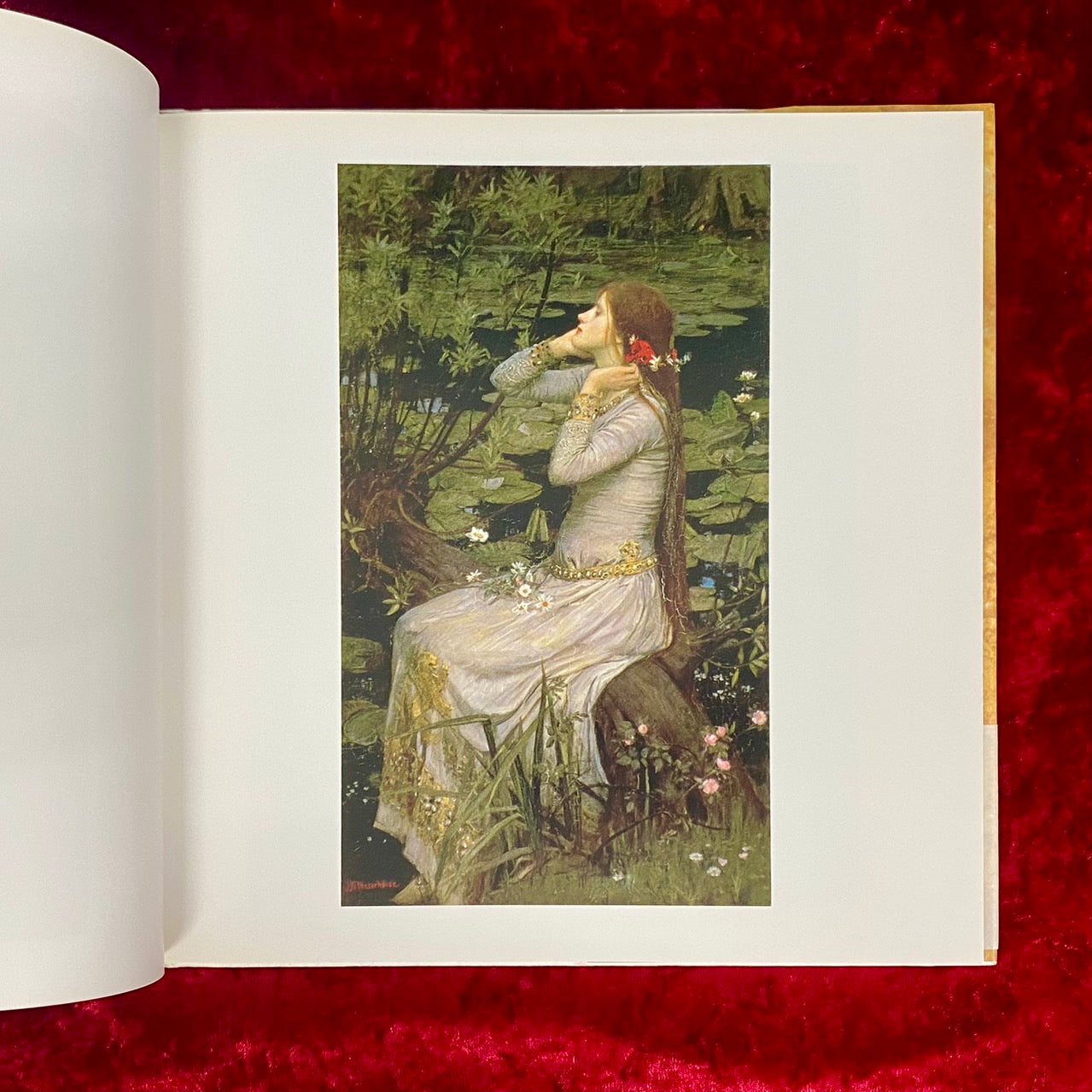 水の女 : 溟き水より　From the Deep Waters