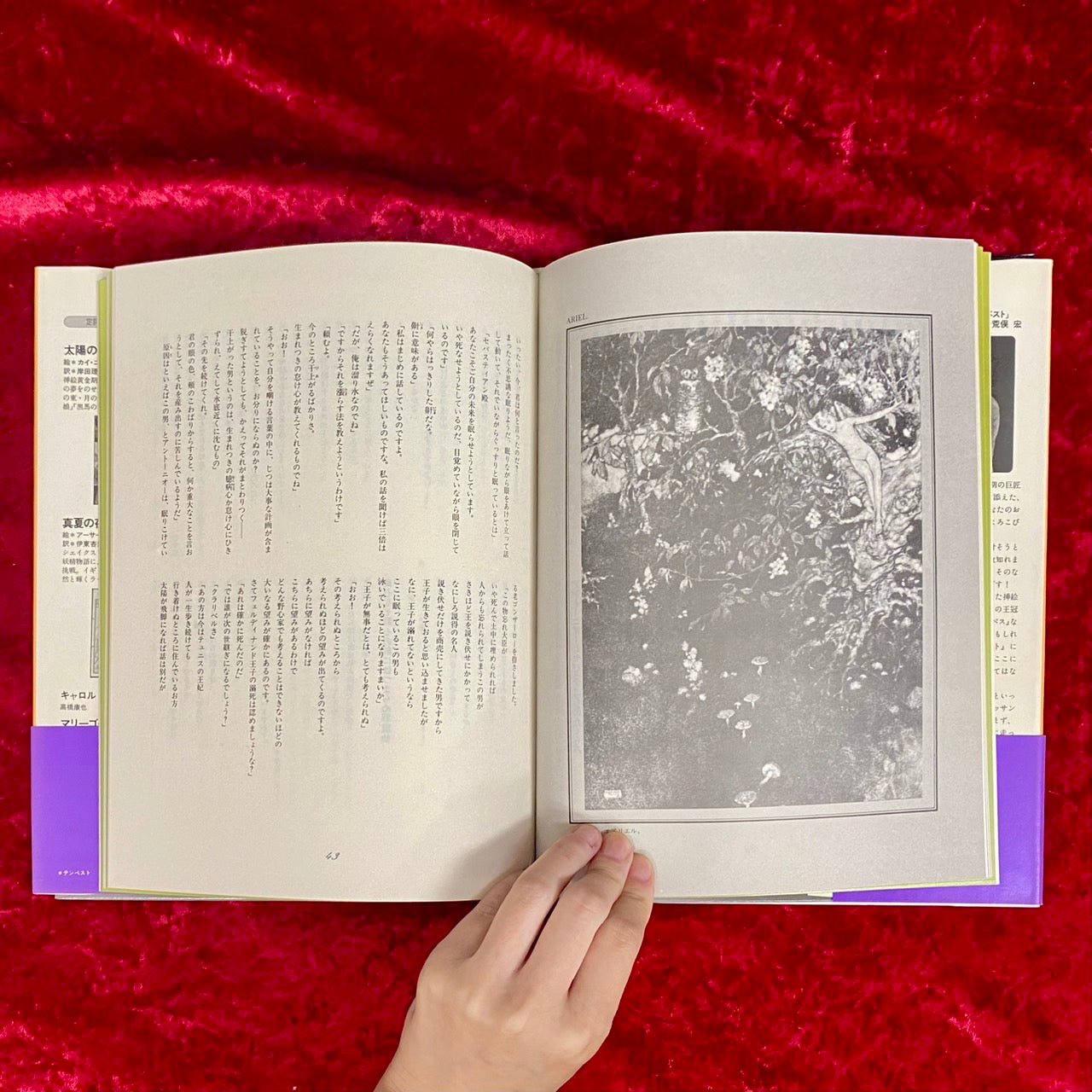 テンペスト 新装版