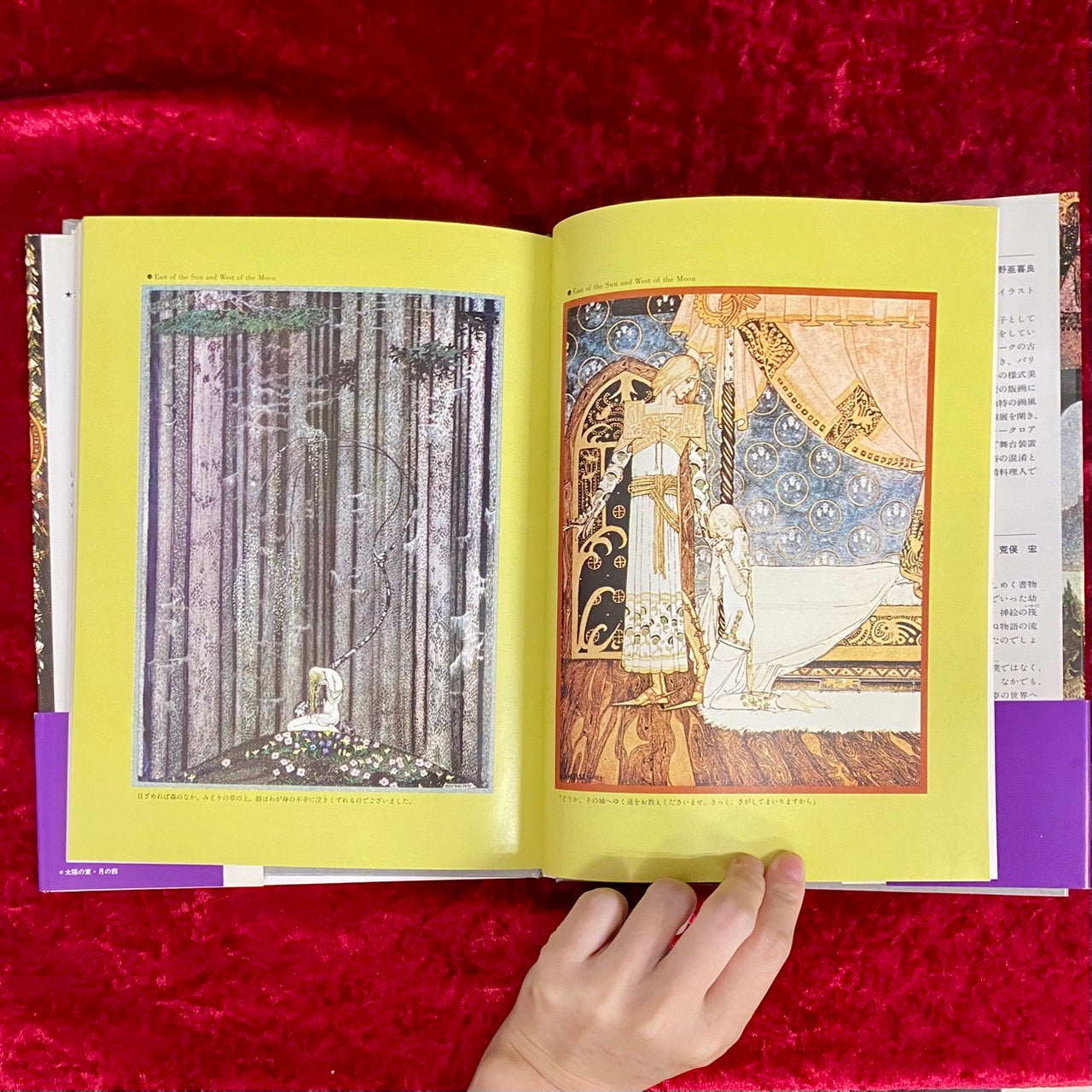 太陽の東・月の西 : 北欧伝説