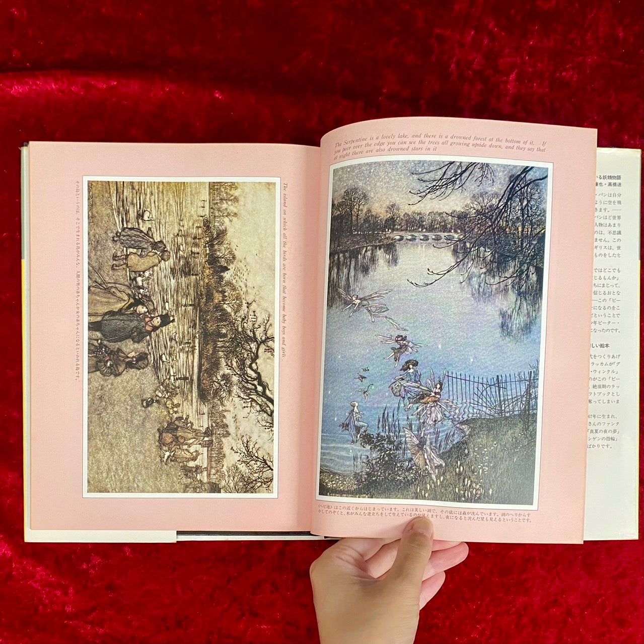 ピーター・パン