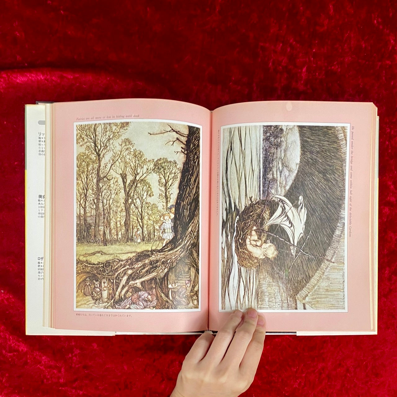 ピーター・パン