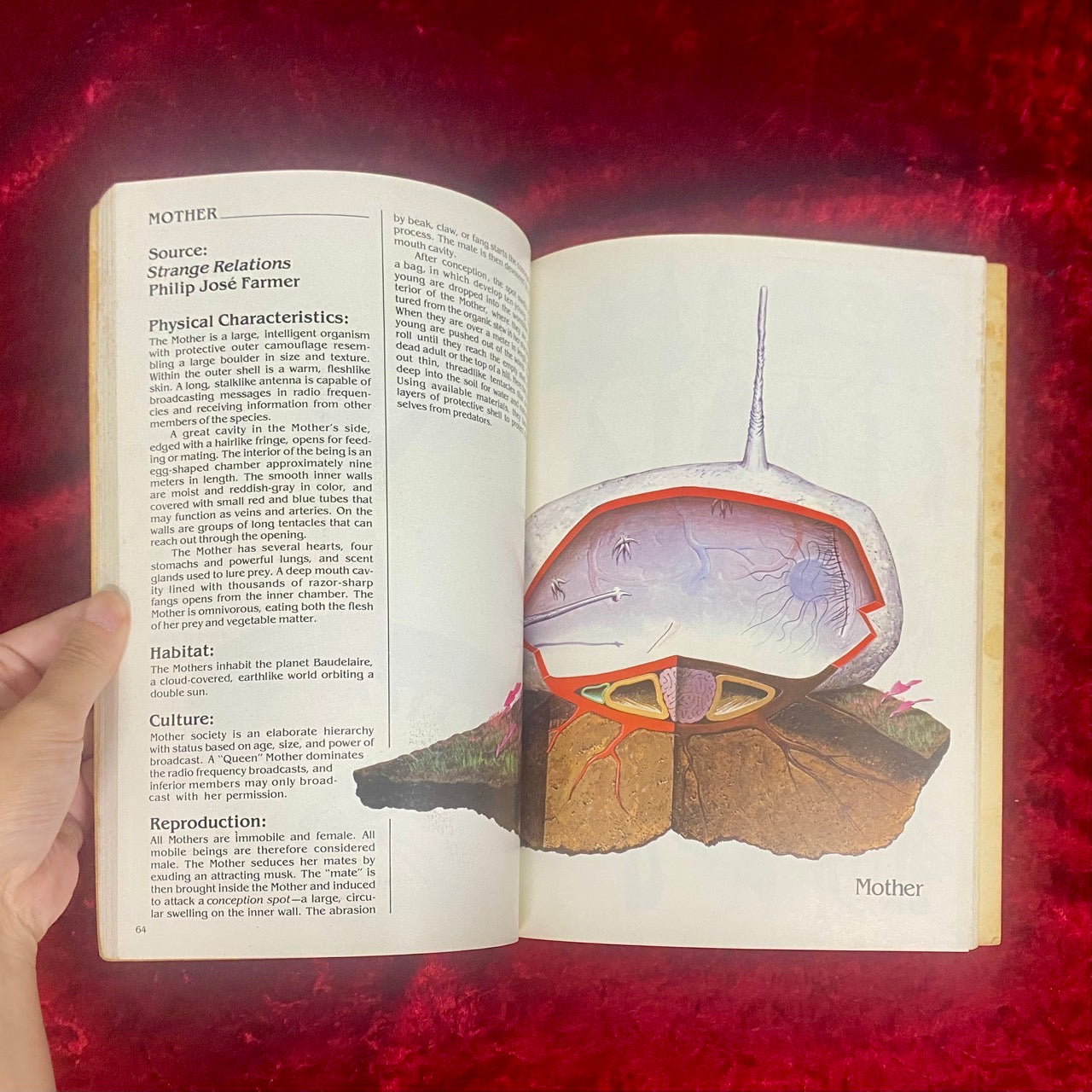 Barlowe's Guide to Extraterrestrials　洋書