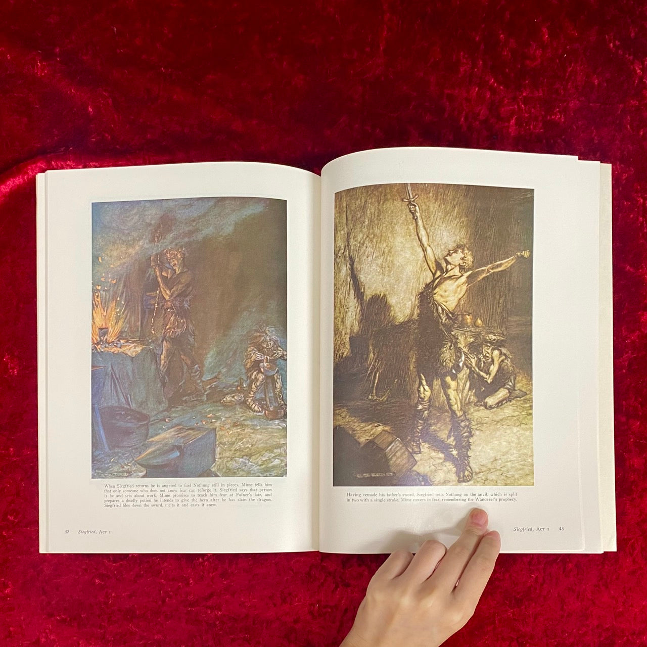 Arthur Rackham's Color Illustrations for Wagner's "Ring"　アーサーラッカム　洋書