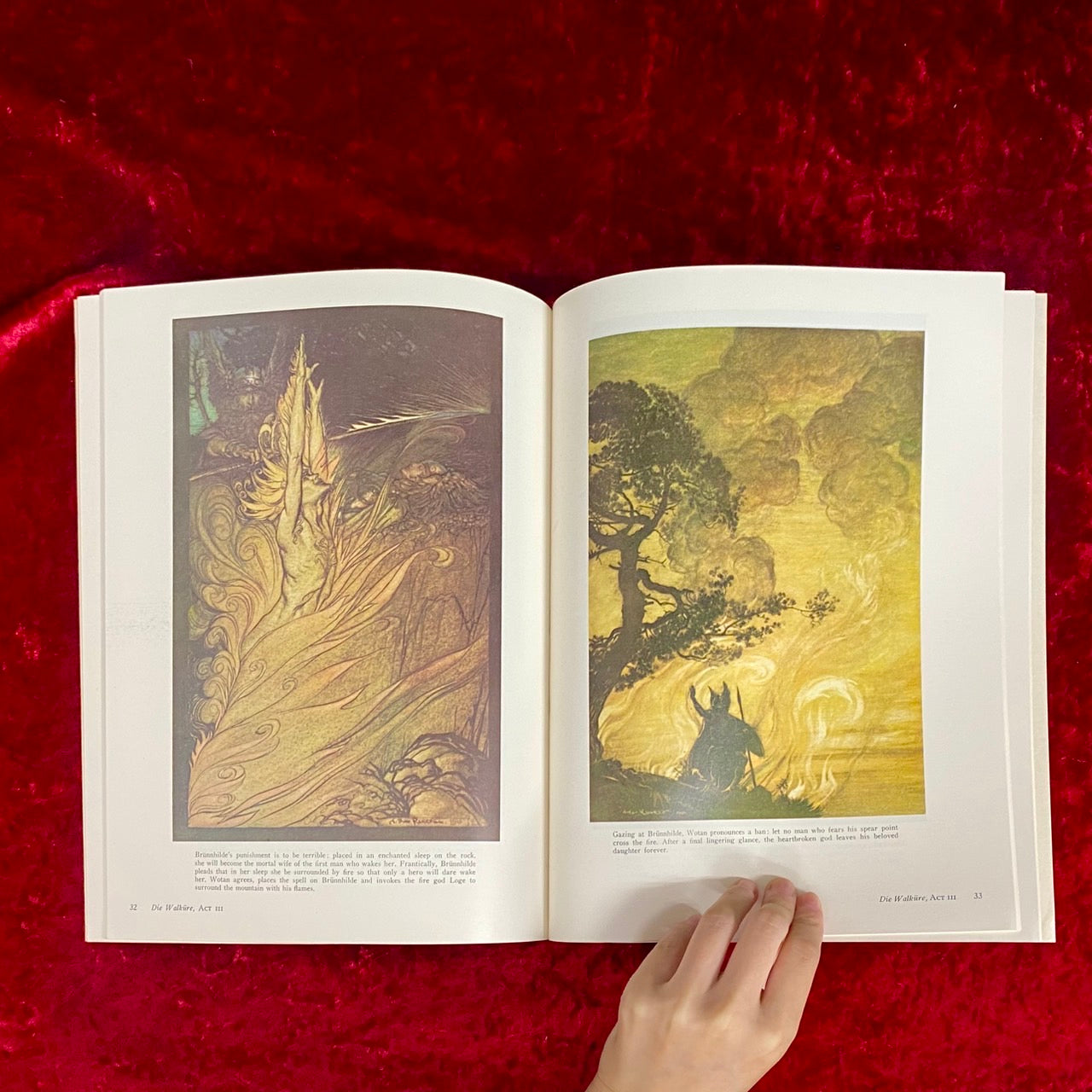 Arthur Rackham's Color Illustrations for Wagner's "Ring"　アーサーラッカム　洋書