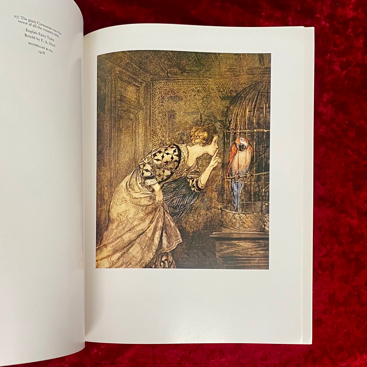 Arthur Rackham アーサー・ラッカム画集　洋書