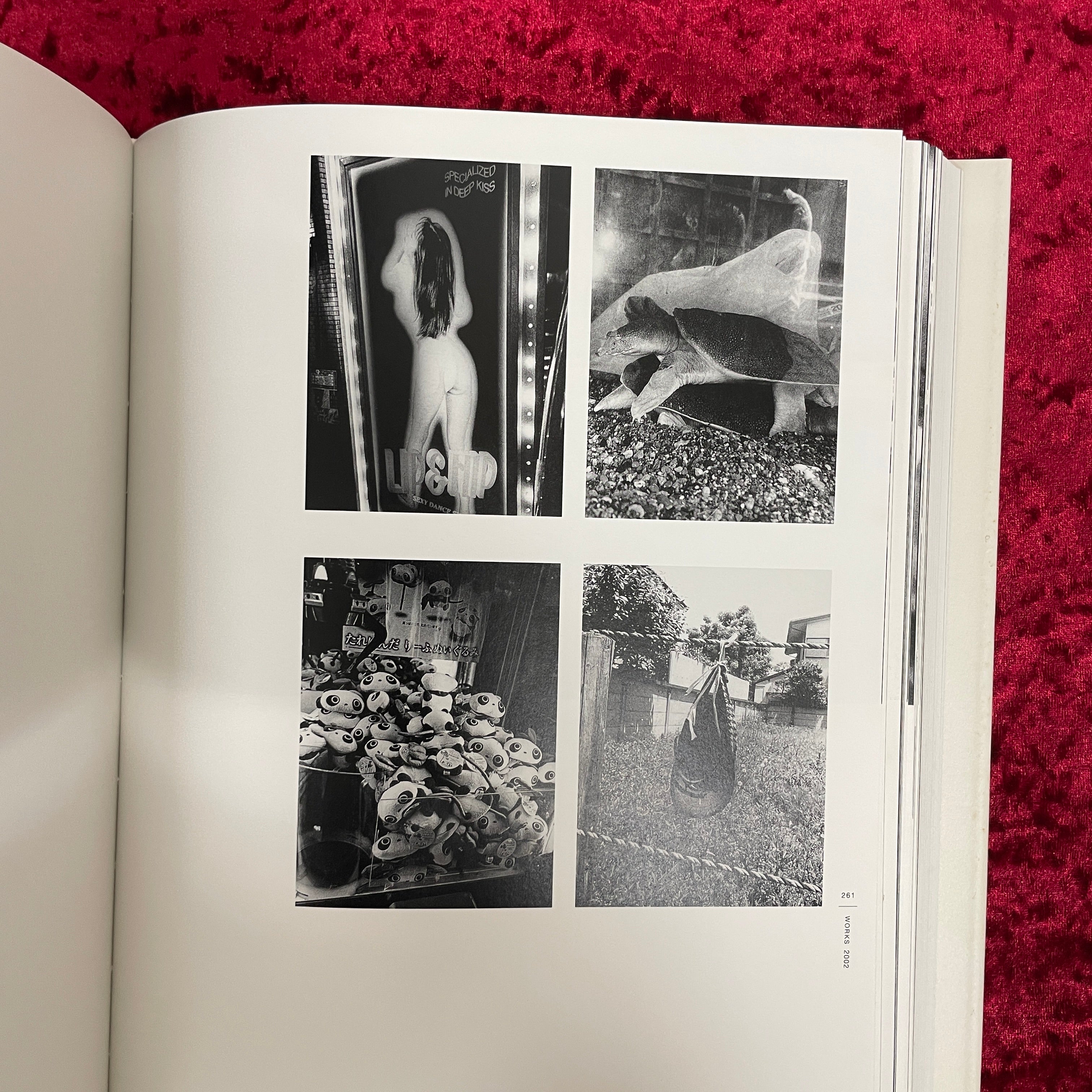 DAIDO MORIYAMA THE COMPLETE WORKS 森山大道全作品集 第4巻（VOL.4