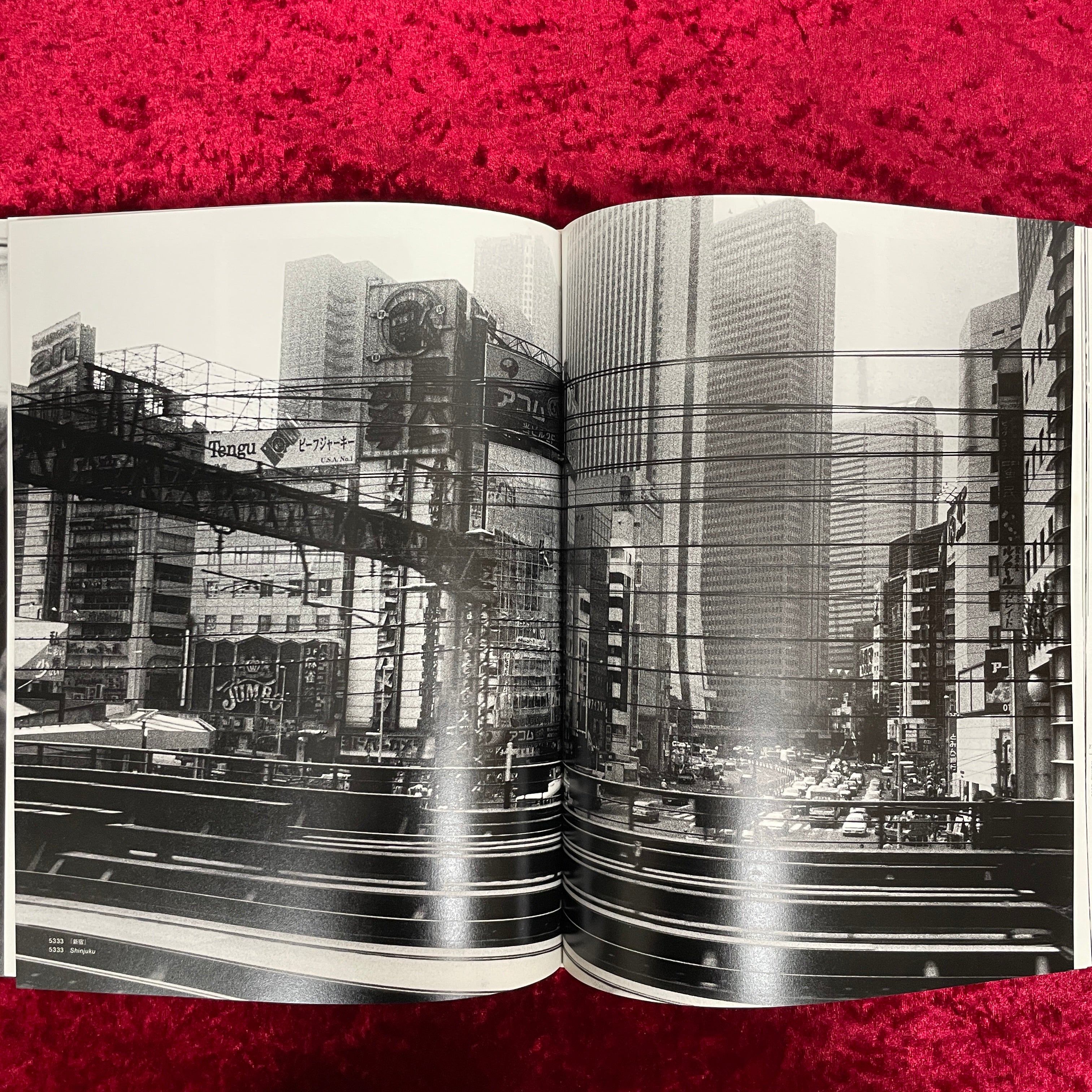 DAIDO MORIYAMA THE COMPLETE WORKS 森山大道全作品集 第4巻（VOL.4