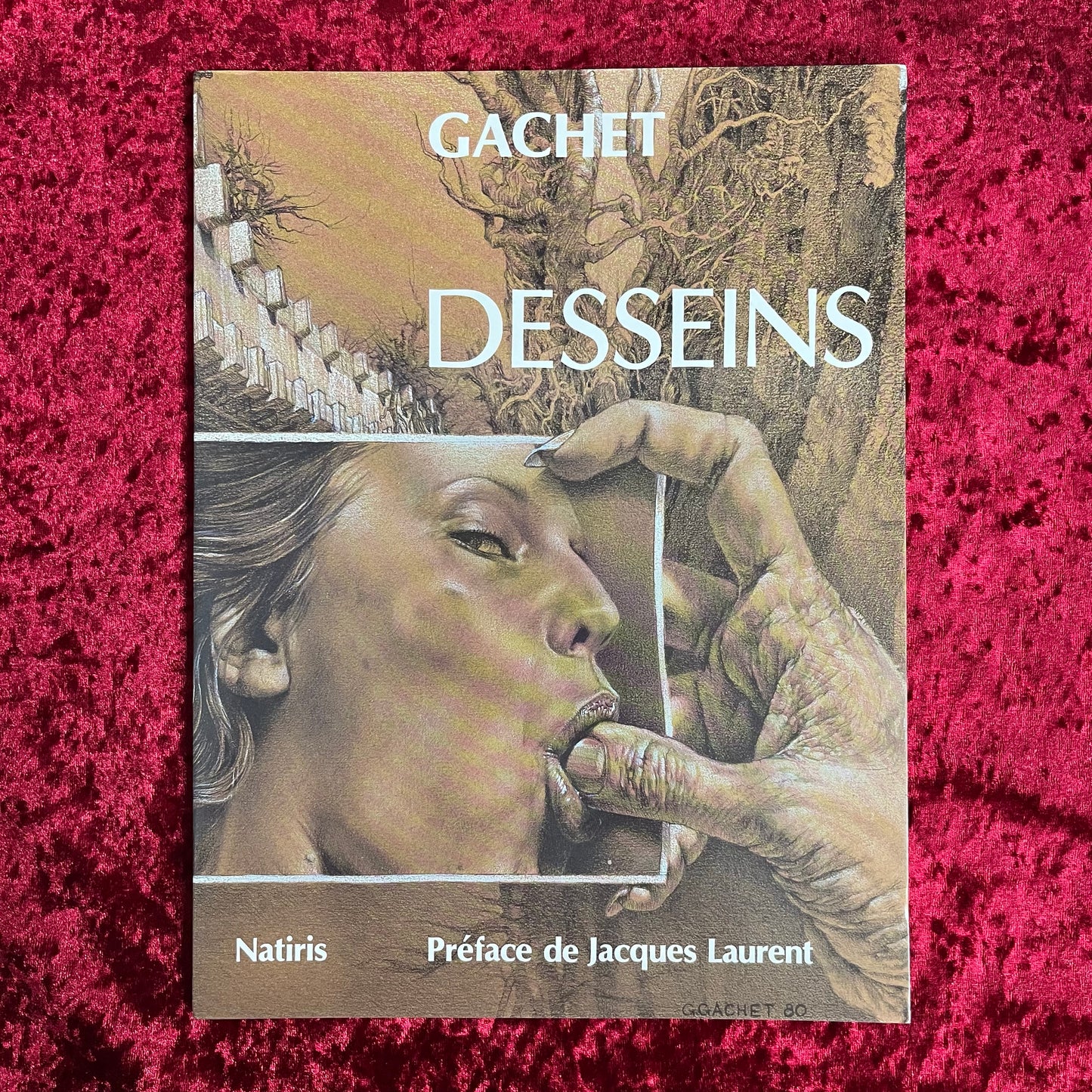 DESSEINS　著：GERARD GACHET　ジェラール・ガシェ　洋書