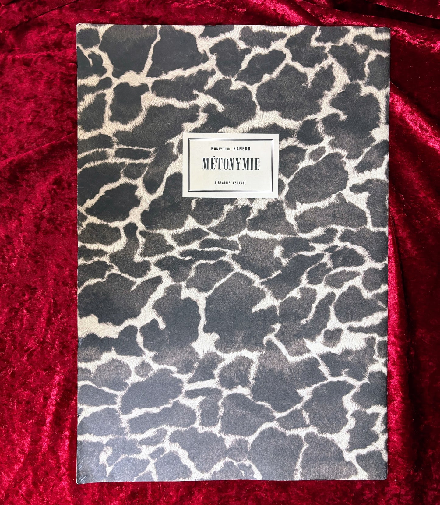 金子国義銅版画集　Metonymie　〈換喩〉　内容見本パンフレット