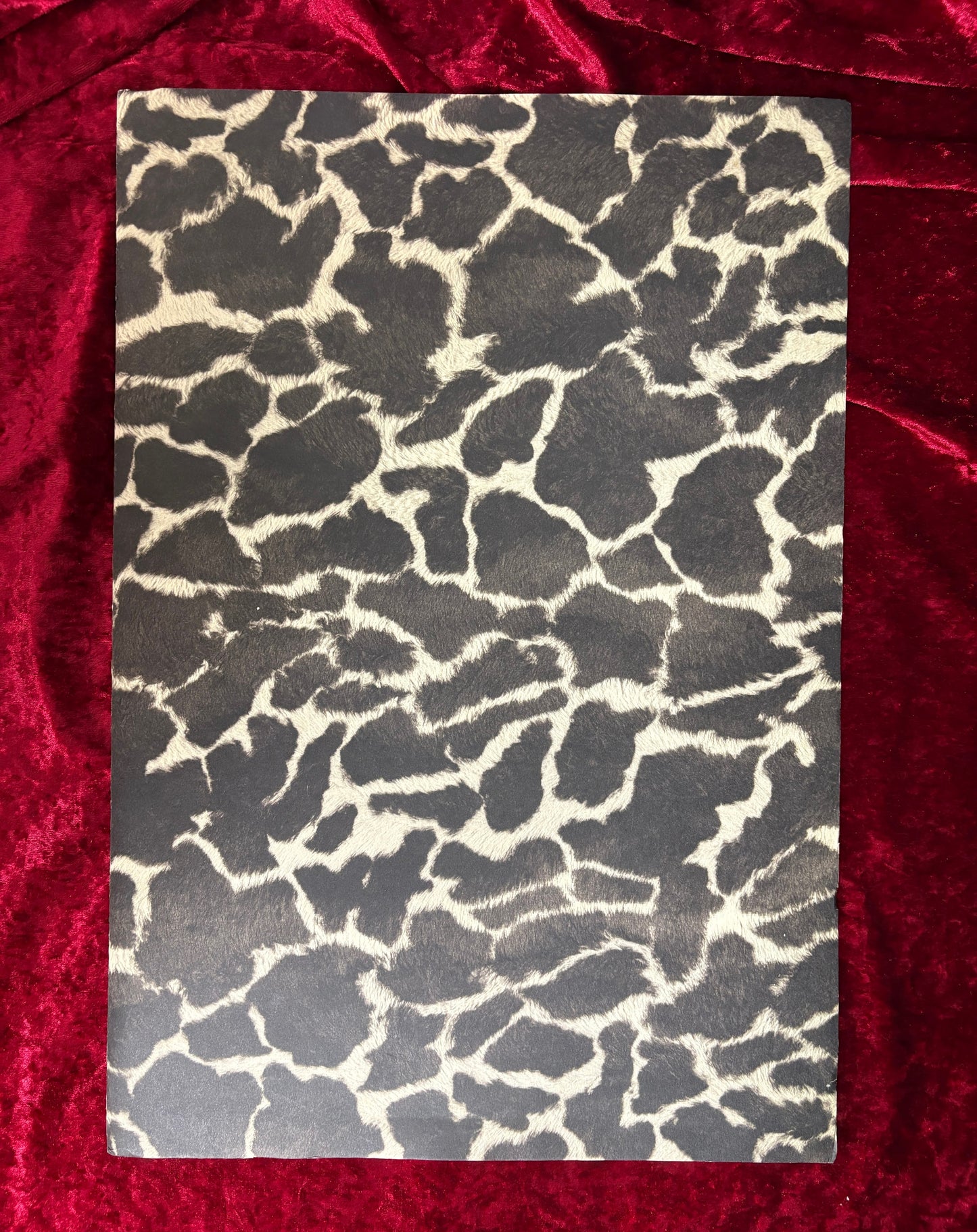 金子国義銅版画集　Metonymie　〈換喩〉　内容見本パンフレット