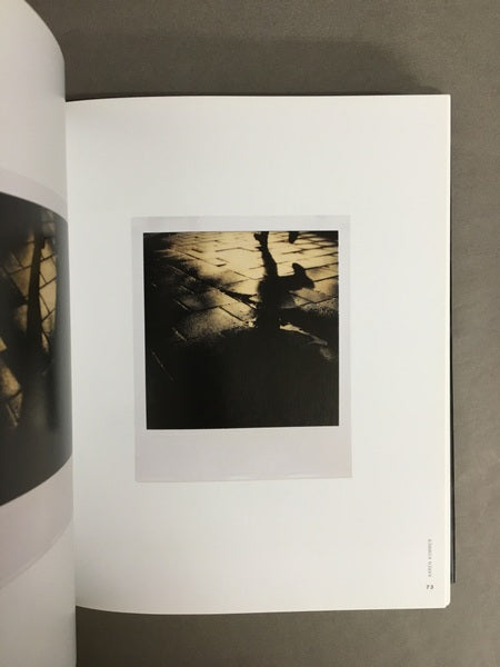 The Polaroid book　ポラロイド社の写真コレクションより　洋書