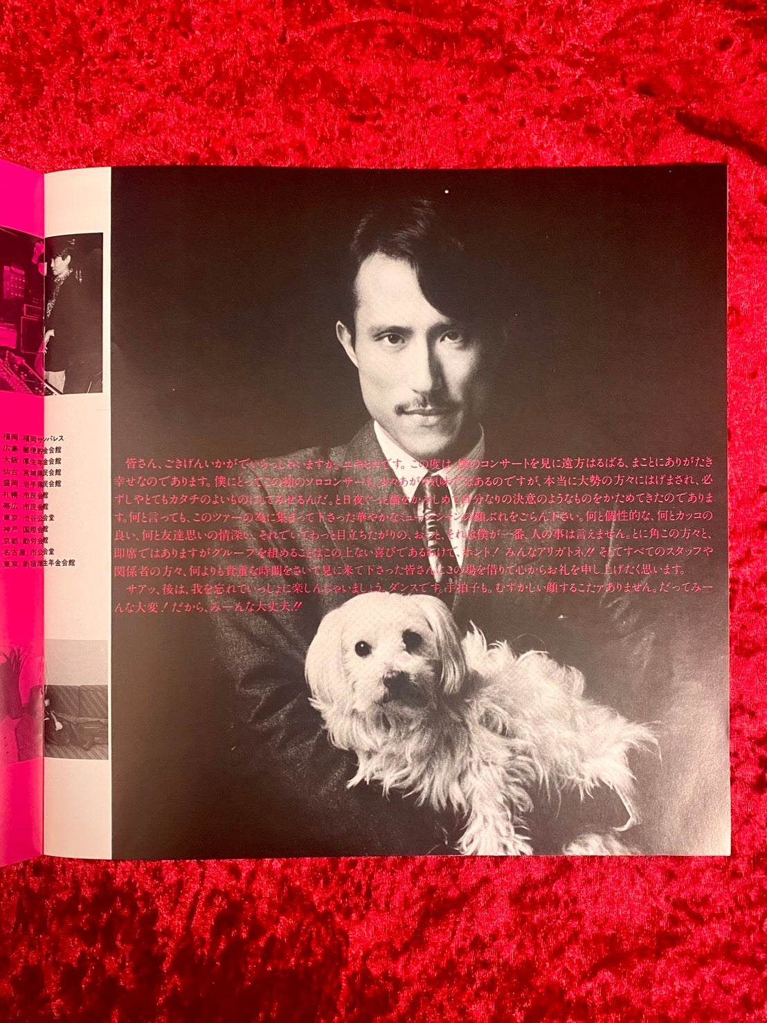 YMO ファンクラブ会報 CAMP YEN YEN MAGAZINE ”夏は、YEN天下。”