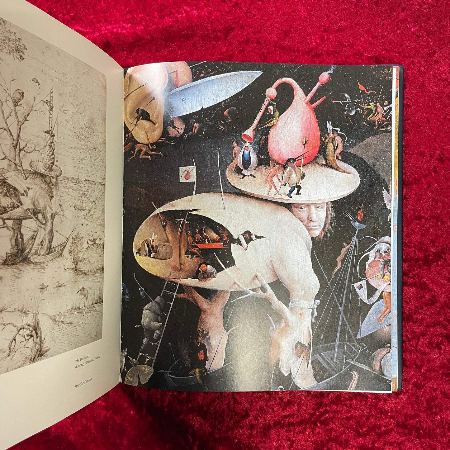Hieronymus Bosch : Garden of Earthly Delights 洋書 ヒエロニムス・ボス