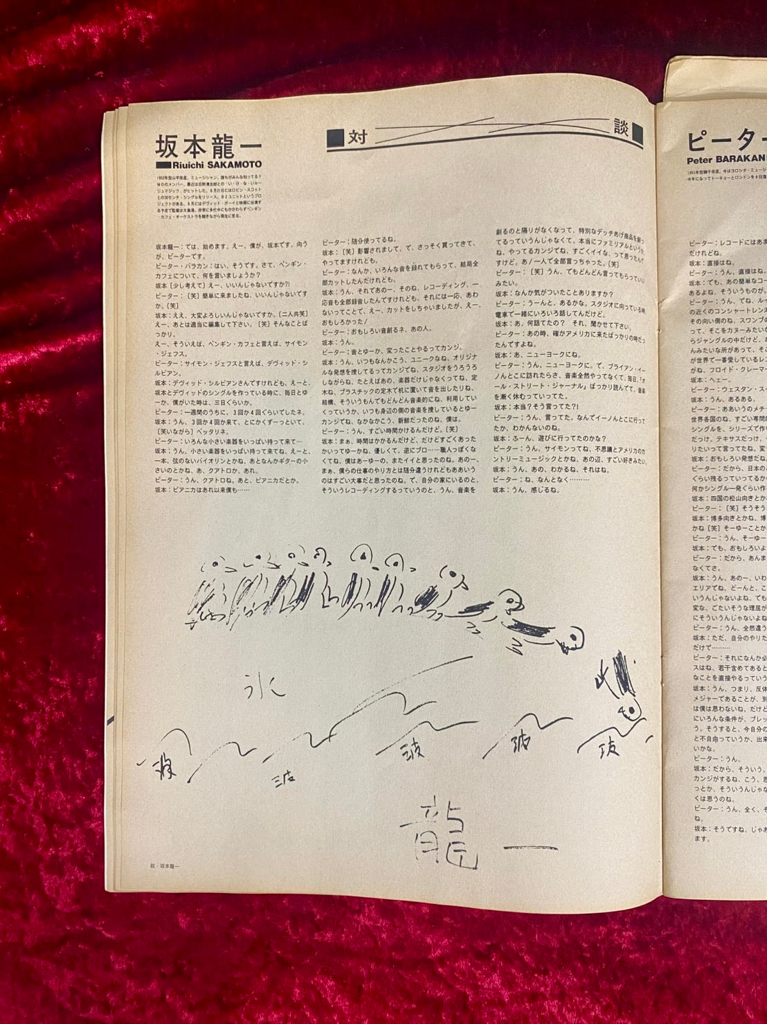 【ツアーパンフ】　ペンギン・カフェ・オーケストラ　Penguin Cafe Orchestra