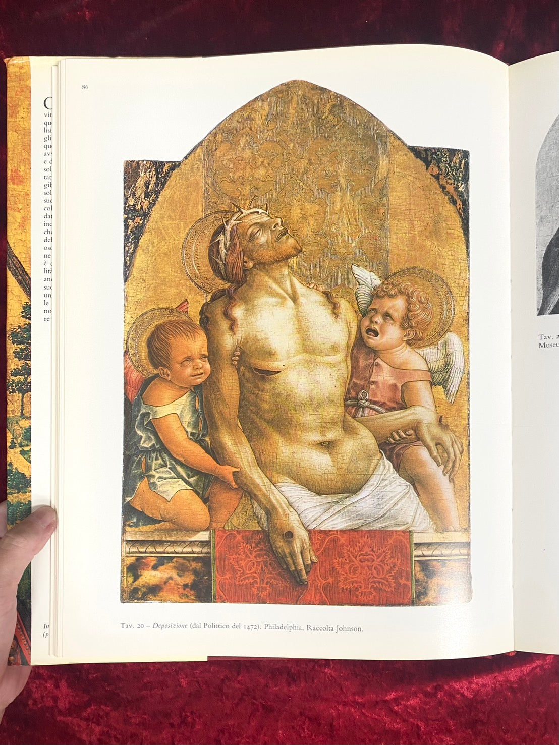 CARLO CRIVELLI/カルロ・クリヴェッリ 大きな図版の画集 – 古書ドリス