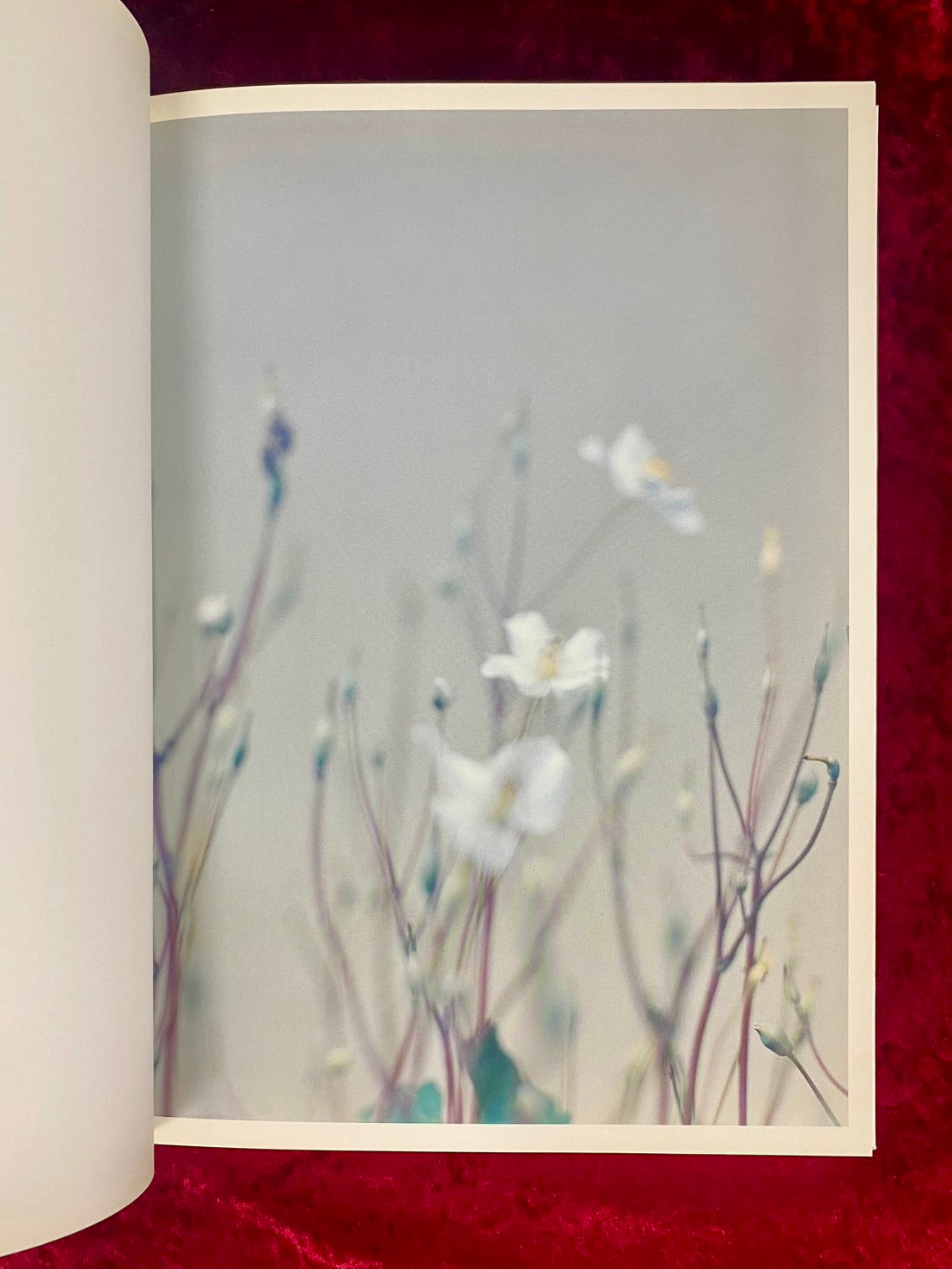 インテリア　泊昭雄　写真集