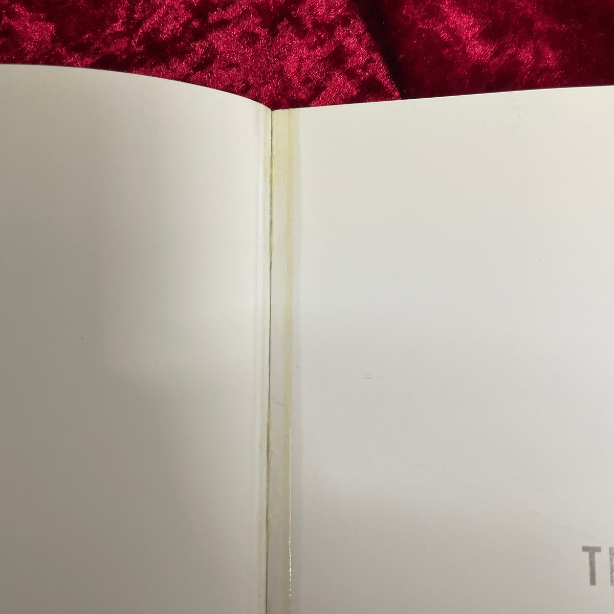 The End of Print: The Graphic Design of David Carson　洋書