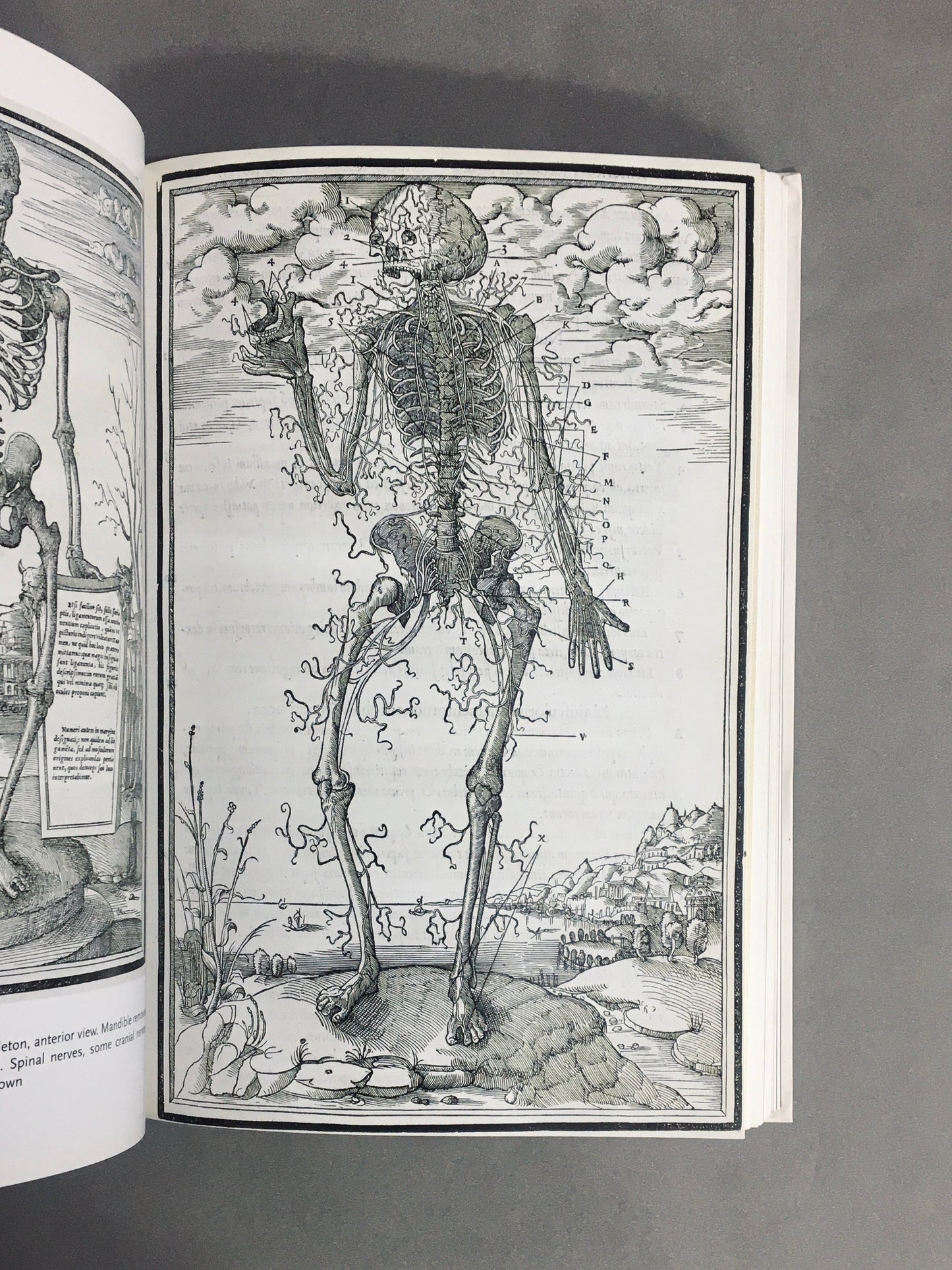 human Anatomy　ルネサンス以降の人体解剖図　洋書