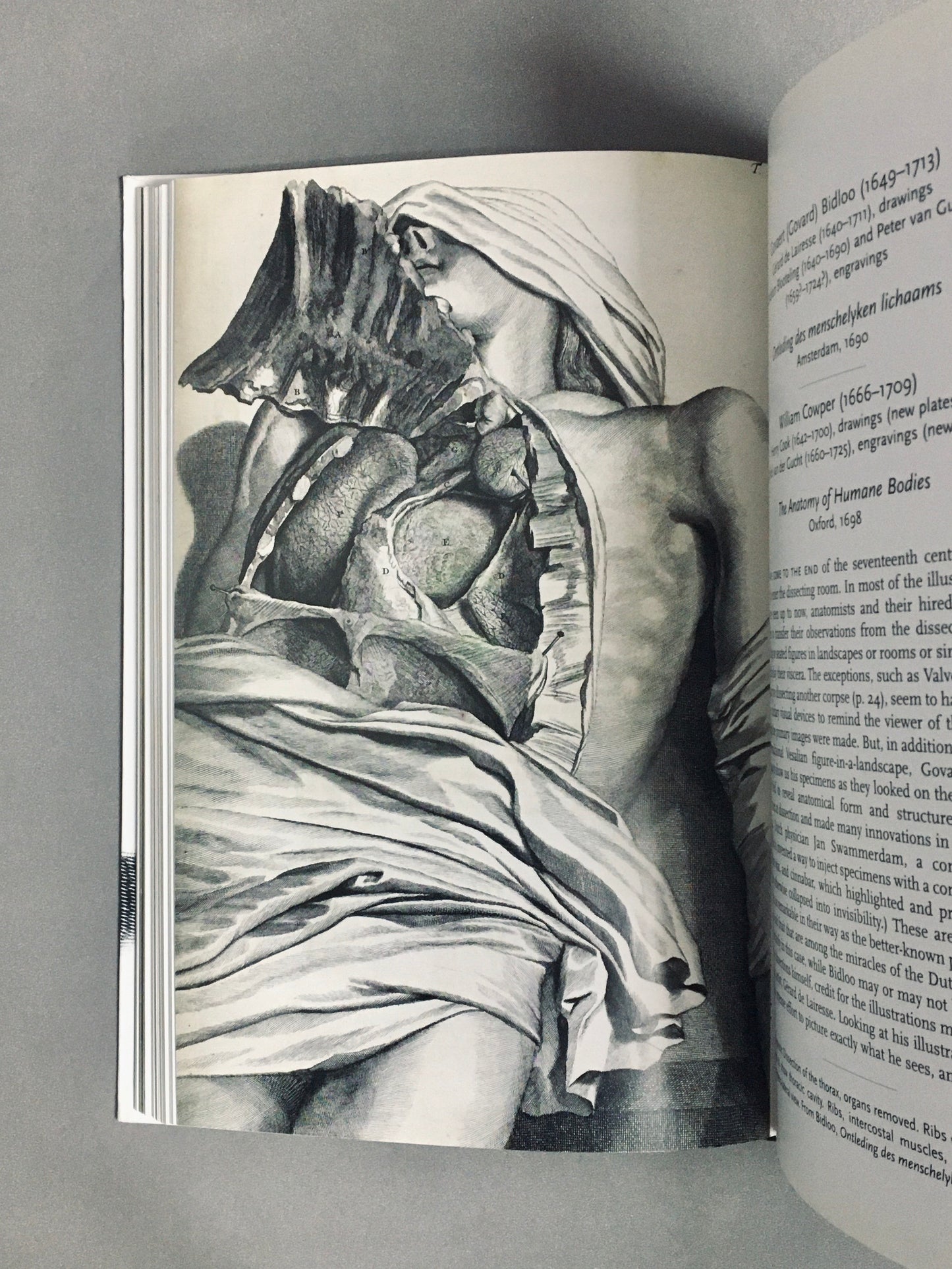 human Anatomy　ルネサンス以降の人体解剖図　洋書