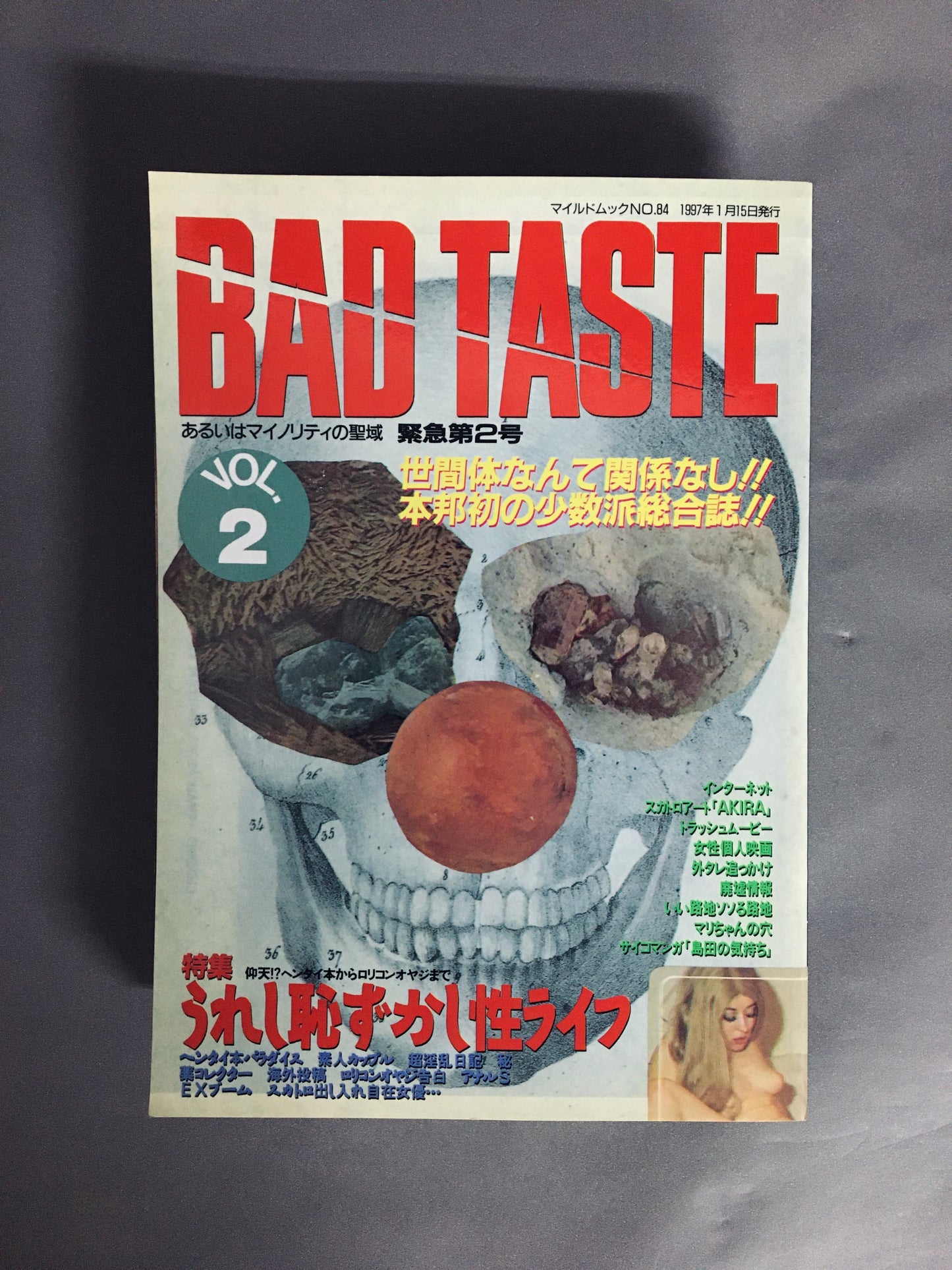 BAD TASTEーあるいはマイノリティの聖域　緊急第2号　マイルドムックNo.84　1997年1月