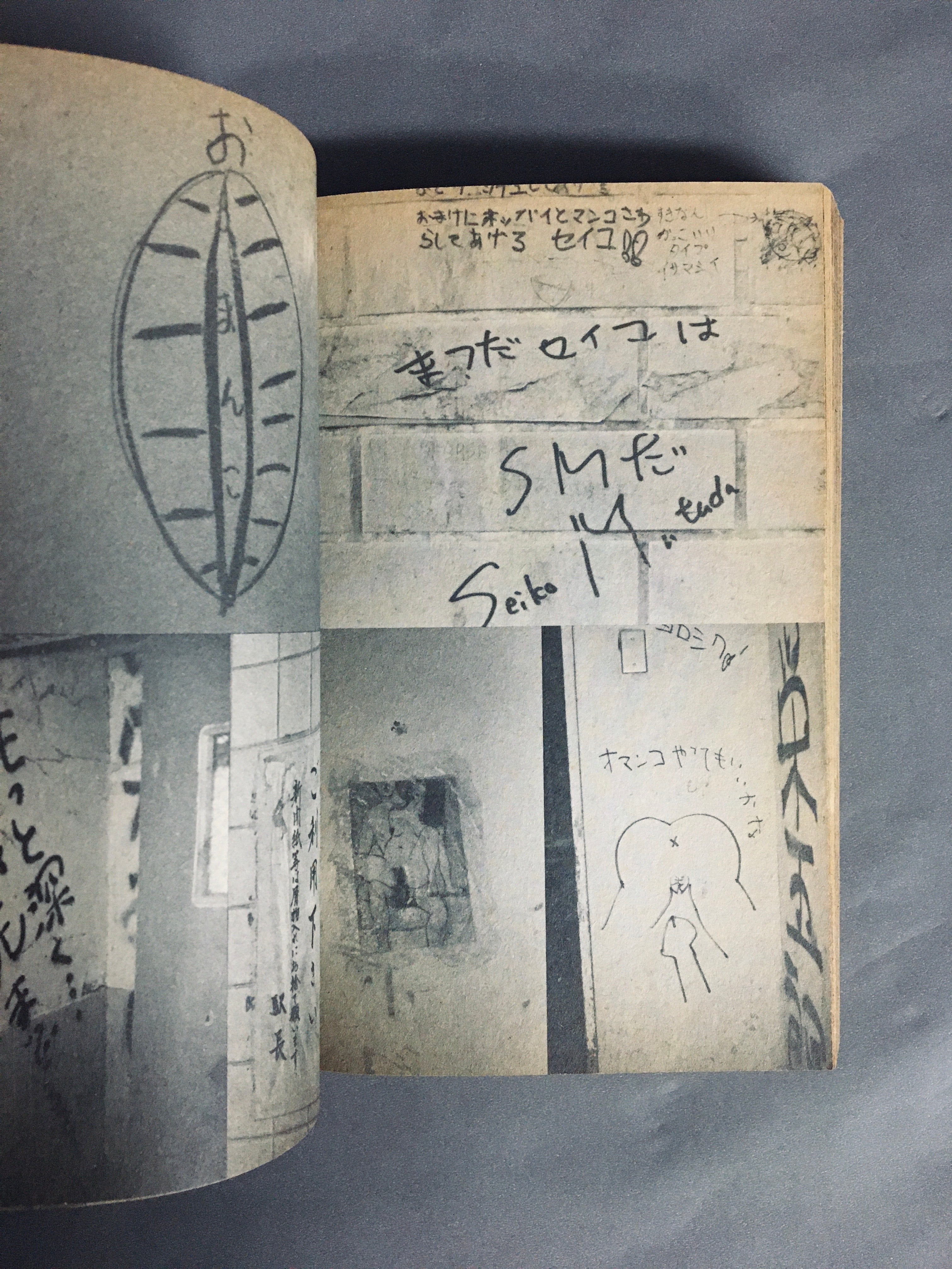 Y072 五大夫 雪外編 明治35年 古書 レトロ コレクション - 和書