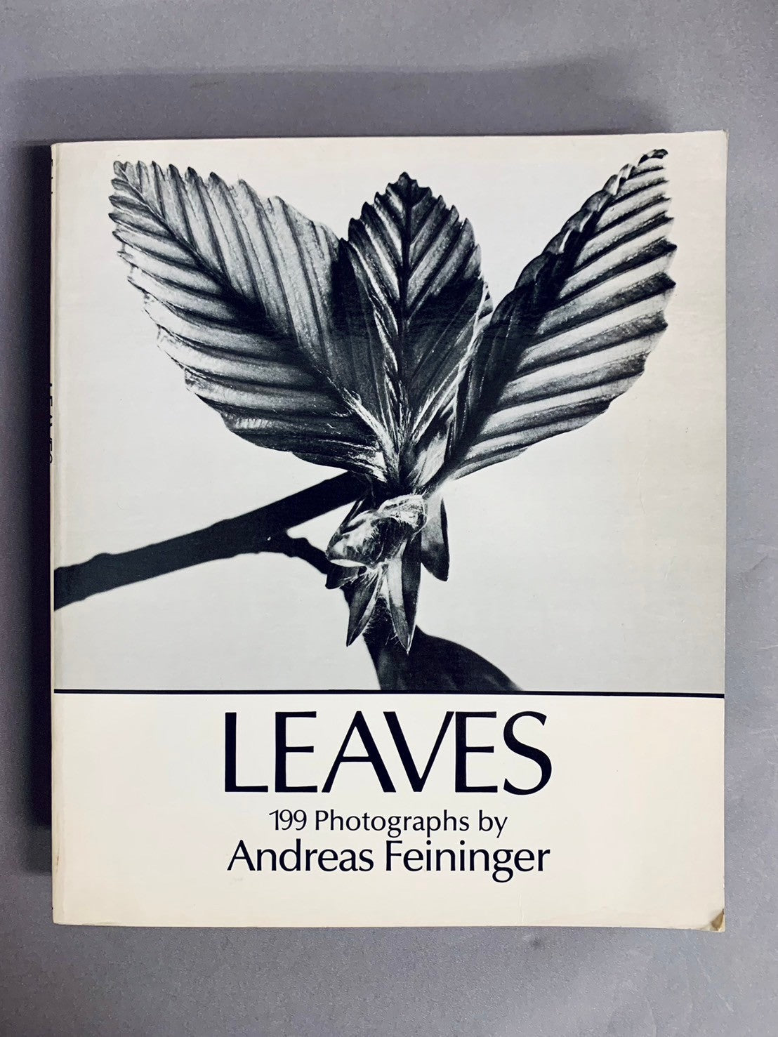LEAVES 199 Photographs by Andreas Feininger　アンドレアス・ファイニンガー　洋書