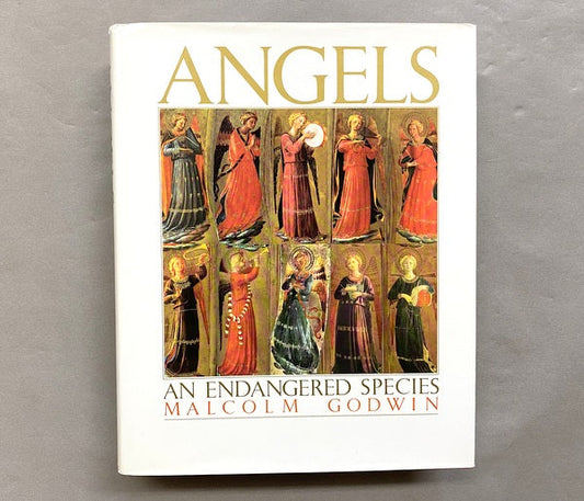 ANGELSーAN ENDANGERED SPECIES　著：Malcolm Godwin　天使の本　洋書